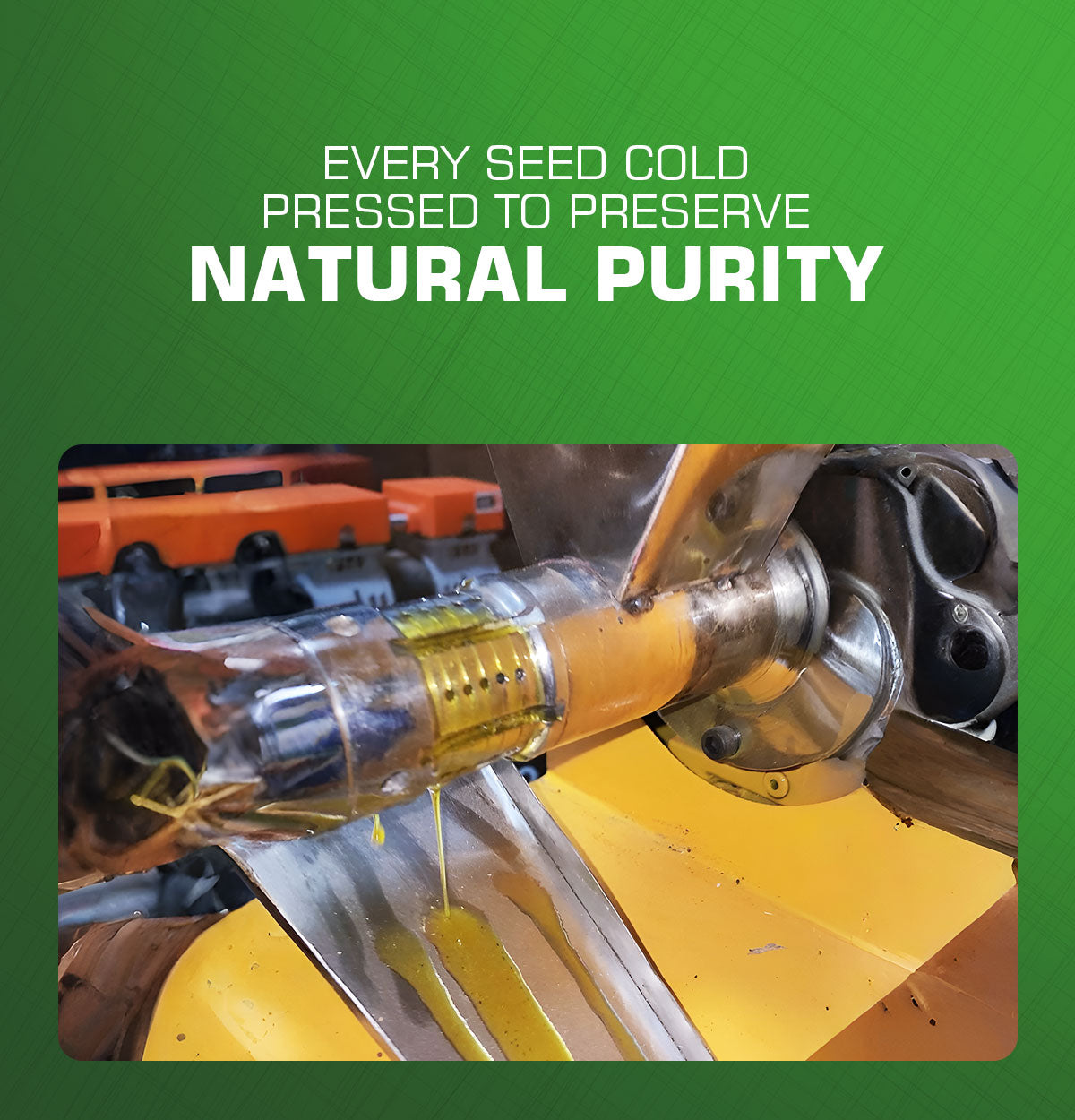 Food Grade Canola Oil